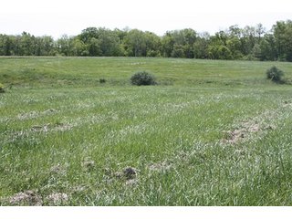 Property photo 6 - LAND AUCTION - 389.5+/- ACRES IN 11 TRACTS IN SULLIVAN COUNTY, INDIANA